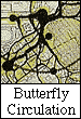 butterfly circulation